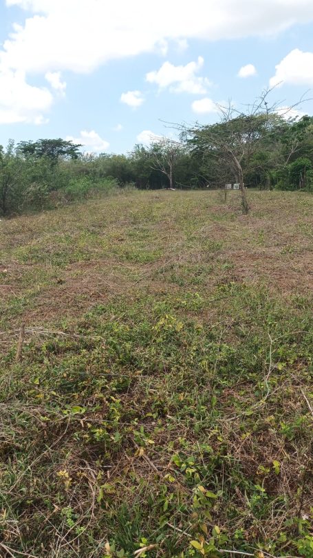 Land Preparation